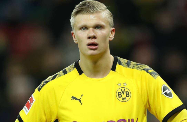 篮球CBA球队完成新赛季阵容搭建