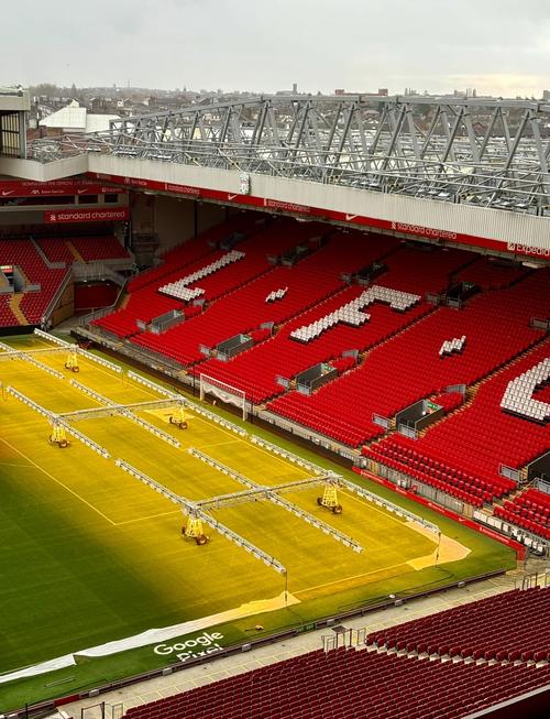 解锁体验卡，英乙比赛中裁判受伤，一球迷走下看台参与执法